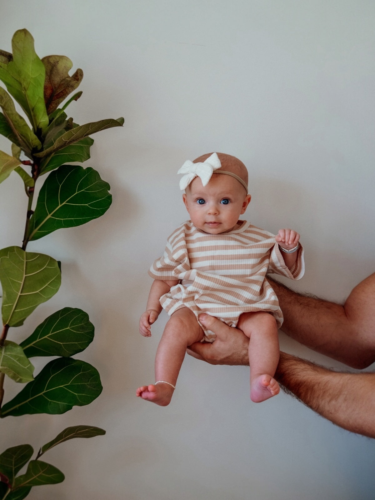 Baby in striped outfit and bow held by an adult, with a green plant in the background against a neutral wall.