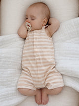 Biscuit Stripe / Organic Shortie